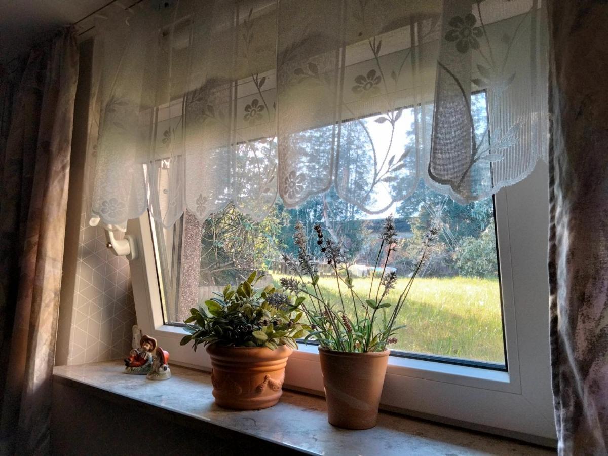 Ferienwohnung Coco Haltern Buitenkant foto